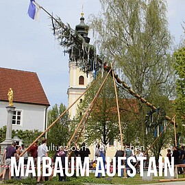 Banner Maibaum aufstellen 