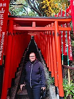 Logo Burnout vorbeugen durch Ikigai