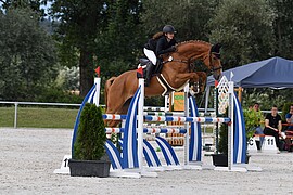 Banner Michaeliturnier