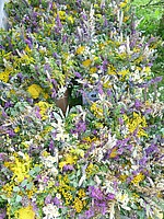 Logo Kräuterbuschenbinden