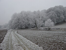 Banner Silvestermarsch der KrsGrp DGF-Landau