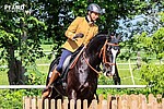 Logo Working Equitation Kurs mit Katrin Frankenberger